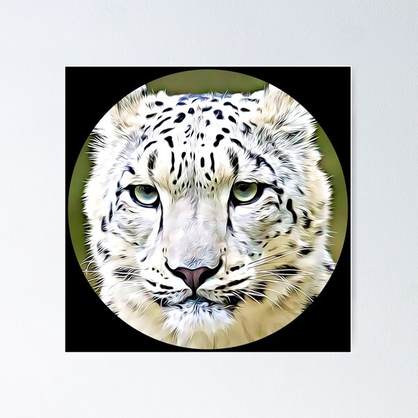 Snow leopard baby portrait Wall Mural Wallpaper