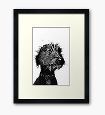 Dog Framed Print