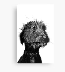 Dog Metal Print