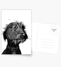 Hund Postkarten