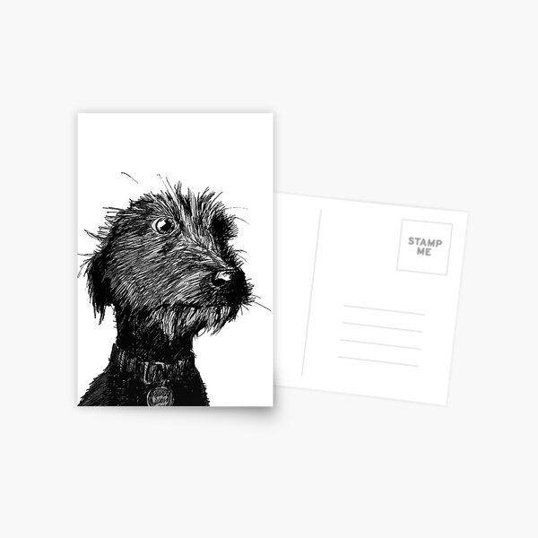 Dog Postcard