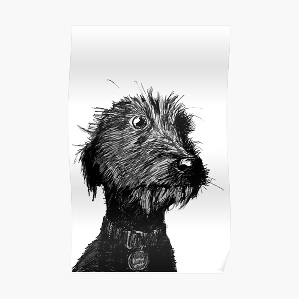 Dog Poster