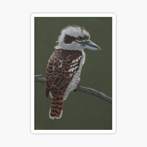 Keith the Kookaburra Sticker