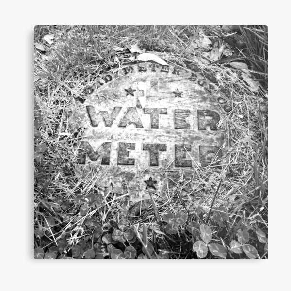 Water Meter Metal Print