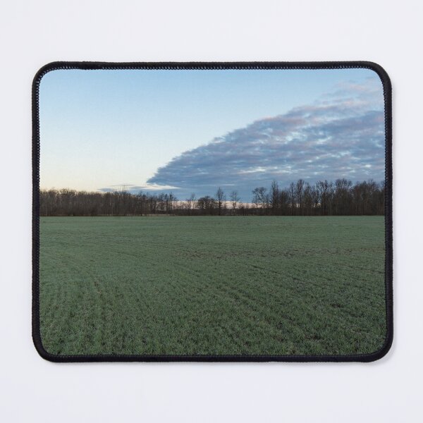 Item preview, Delicate Young Crops - Coordinated Clouds and Furrows designed and sold by Georgia Mizuleva.