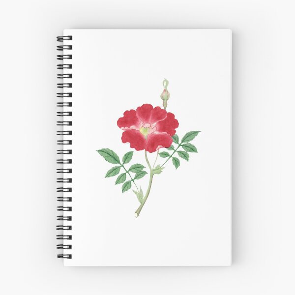 Item preview, Red flower designed and sold by AestheticaKit.