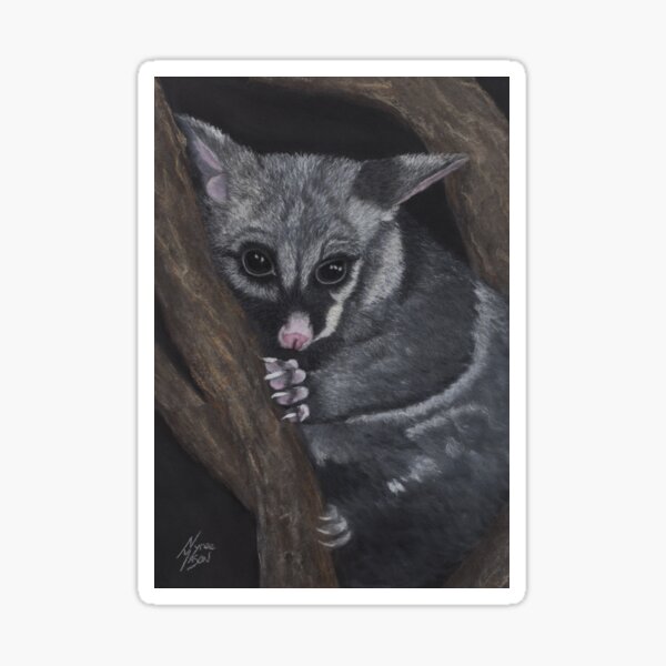 Twinkle-Toes: The Brushtail Possum Sticker