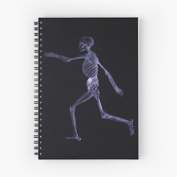 Item preview, Human Skeleton Lateral View designed and sold by Neggan.