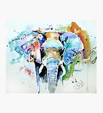 Splash of colour Photographic Print