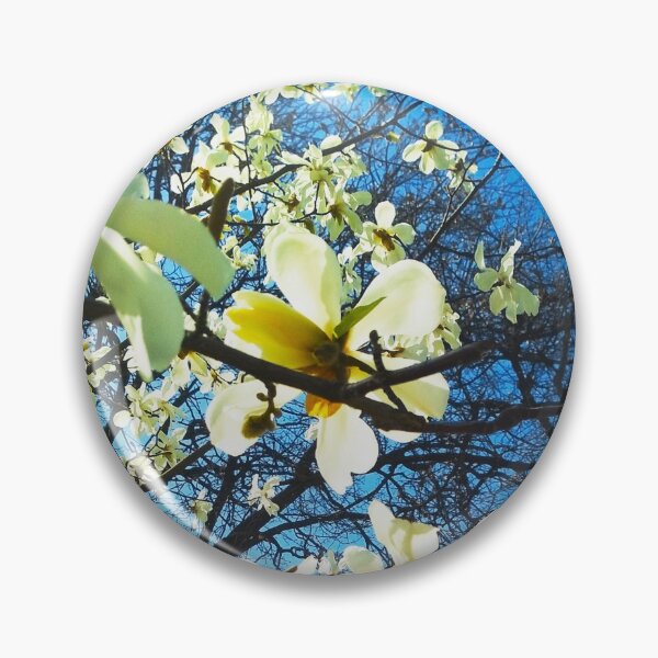 Item preview, White magnolia tree in blossom, natural background, spring season  designed and sold by helenkaiy.