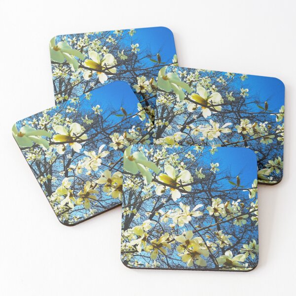Item preview, White magnolia tree in blossom, natural background, spring season  designed and sold by helenkaiy.