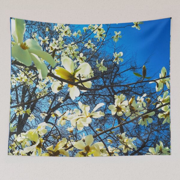 Item preview, White magnolia tree in blossom, natural background, spring season  designed and sold by helenkaiy.