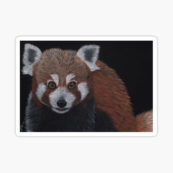 Pete: The Red Panda Sticker