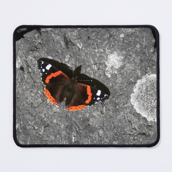 Item preview, Butterfly on Black and White designed and sold by beavo.
