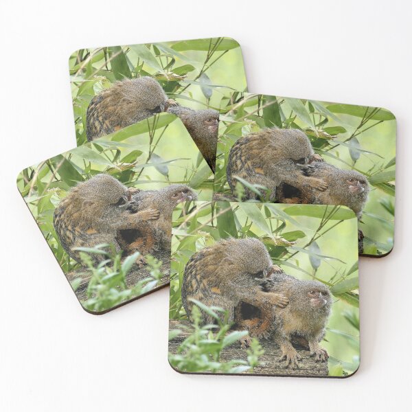 Item preview, r963 / New Finition 2021 " Petit Singe "  Ouistiti Pygmée  " Toilettage en commun  " (h)  Olavia-Olao Okaio Créations designed and sold by o.okaïo.