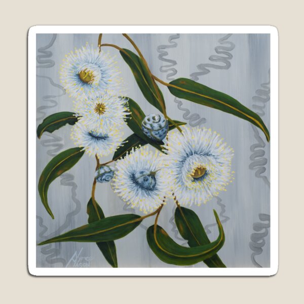 Blue Gum Blossoms Magnet