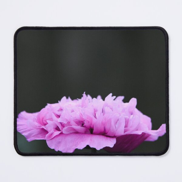Item preview, amapola de jardín en plena floración designed and sold by markspics.