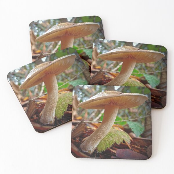 Item preview, Sunny Mushroom designed and sold by Rebekah Slick.