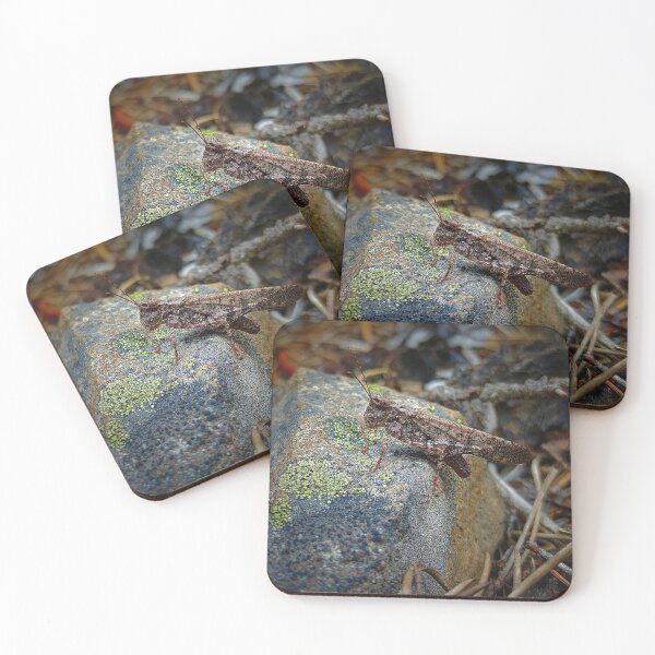 Item preview, Camouflage Grasshopper designed and sold by Rebekah Slick.
