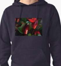 Christmas Anthurium..... Pullover Hoodie