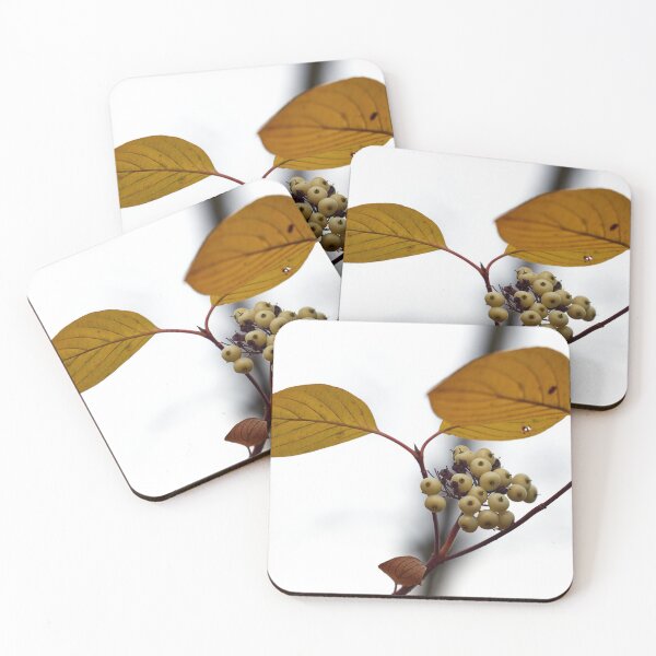 Item preview, Siberian dogwood berries designed and sold by Jouko Lehto Photography.