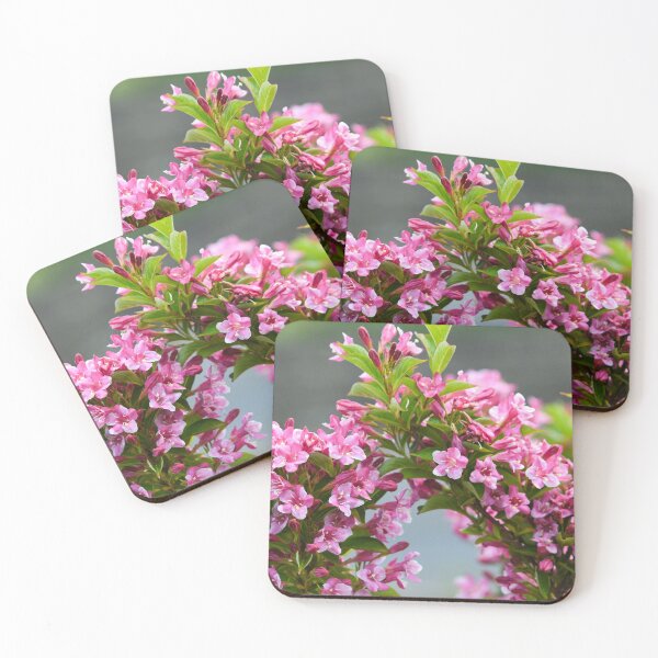 Item preview, weigela floreciendo en verano designed and sold by markspics.