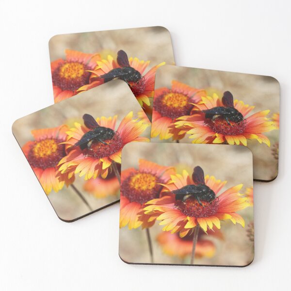 Item preview, Carpenter Bee On Blanket Flower designed and sold by SweepingShadows.