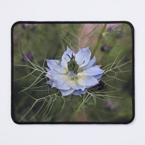 Item preview, Light Blue Nigella Damascena designed and sold by SweepingShadows.