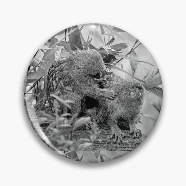 Item preview, r962 / New Finition 2021 " Petit Singe "  Ouistiti Pygmée  " Toilettage en commun  " (h)  Olavia-Olao Okaio Créations designed and sold by o.okaïo.