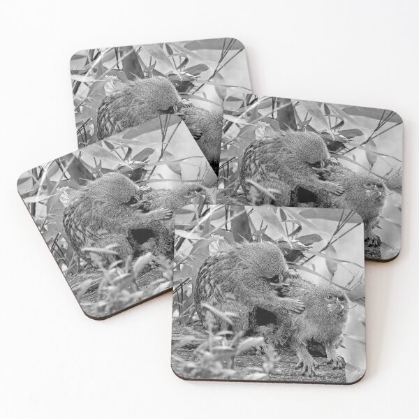 Item preview, r962 / New Finition 2021 " Petit Singe "  Ouistiti Pygmée  " Toilettage en commun  " (h)  Olavia-Olao Okaio Créations designed and sold by o.okaïo.