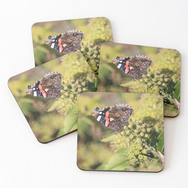 Item preview, Red Admiral Butterfly On Common Ivy designed and sold by SweepingShadows.