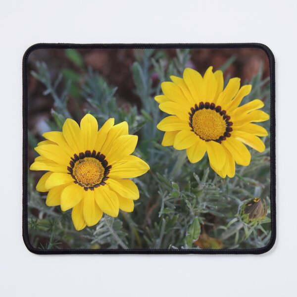 Item preview, Yellow Gazania Flowers designed and sold by SweepingShadows.