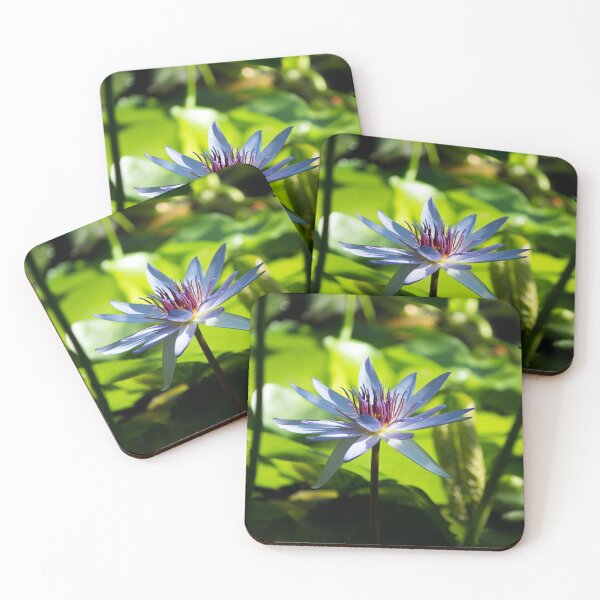 Item preview, Open Flower around Lilys designed and sold by DNPrints.