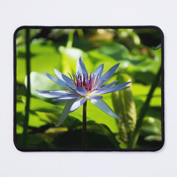 Item preview, Open Flower around Lilys designed and sold by DNPrints.