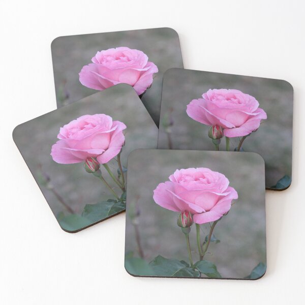 Item preview, Pink Rose Bloom designed and sold by SweepingShadows.