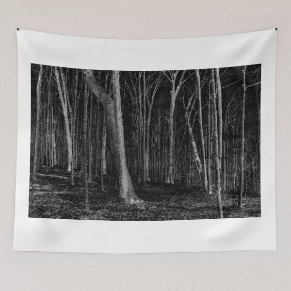 Item preview, Woods at Night designed and sold by Eric Glaser.