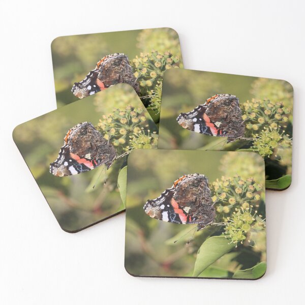 Item preview, Red Admiral Butterfly On Common Ivy designed and sold by SweepingShadows.