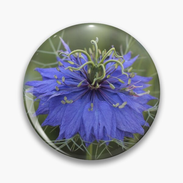 Item preview, Blue Nigella Damascena designed and sold by SweepingShadows.