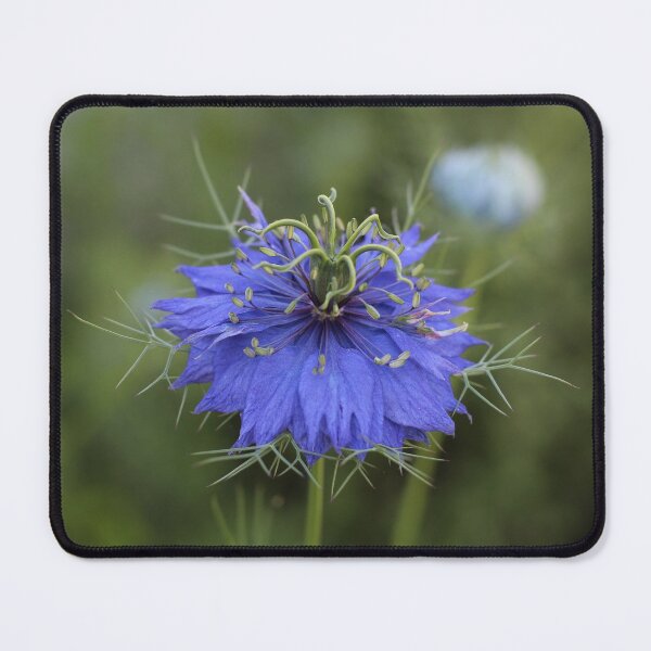 Item preview, Blue Nigella Damascena designed and sold by SweepingShadows.