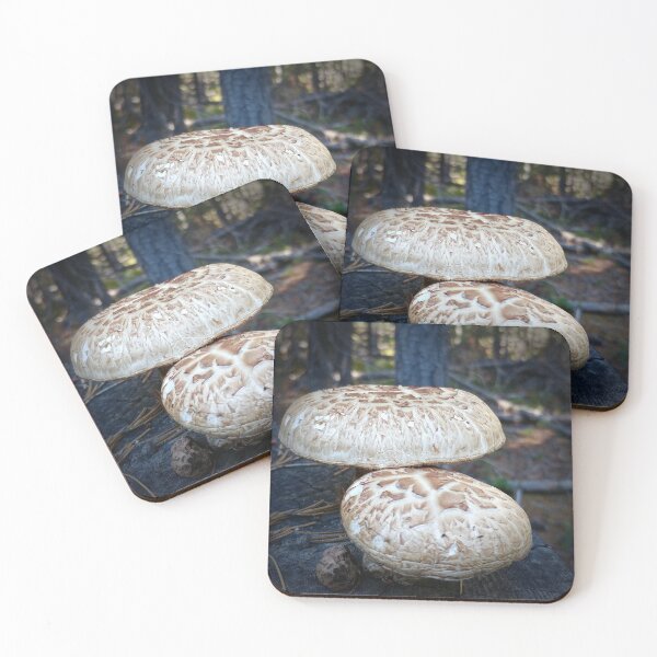 Item preview, Mushrooms designed and sold by Rebekah Slick.