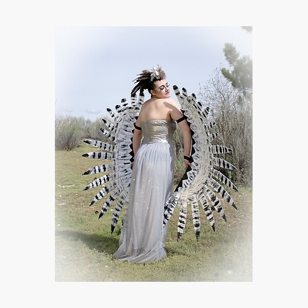 Harpy Eagle3 Photographic Print