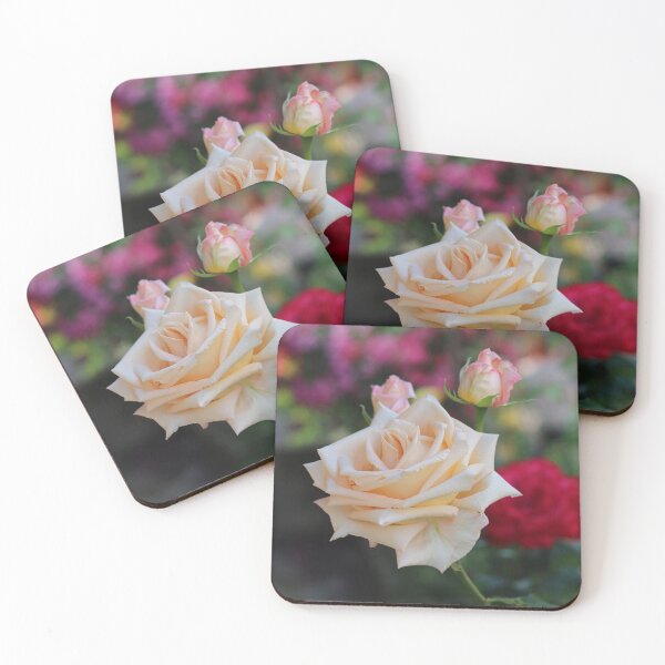Item preview, Cream Rose designed and sold by SweepingShadows.