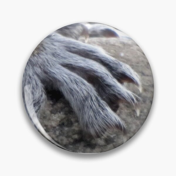Item preview, THE PAW designed and sold by Jean Gregory Evans.