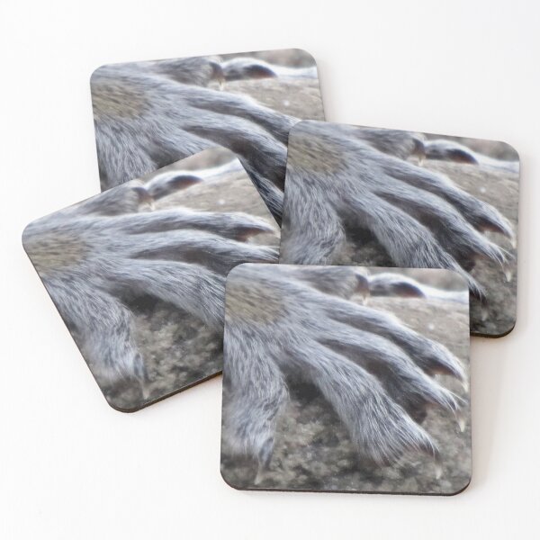 Item preview, THE PAW designed and sold by Jean Gregory Evans.