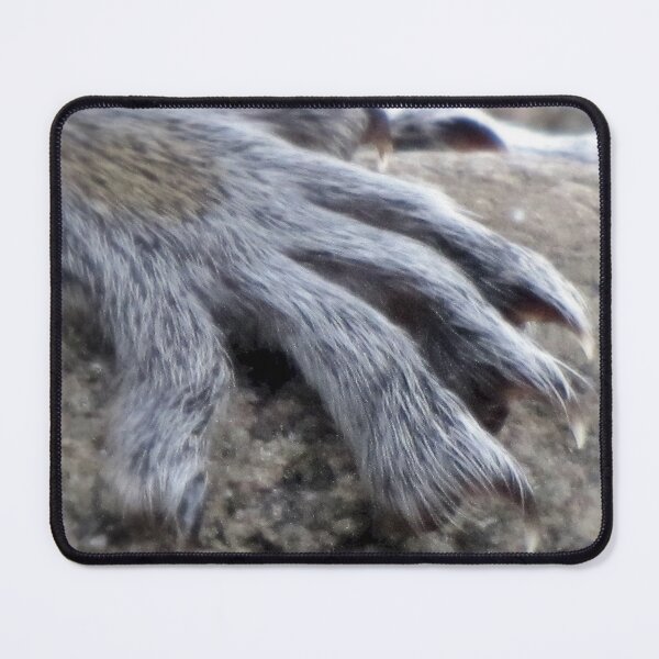 Item preview, THE PAW designed and sold by Jean Gregory Evans.