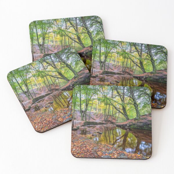 Item preview, Roddlesworth Wood during Autumn Season designed and sold by Shafiq Khan.