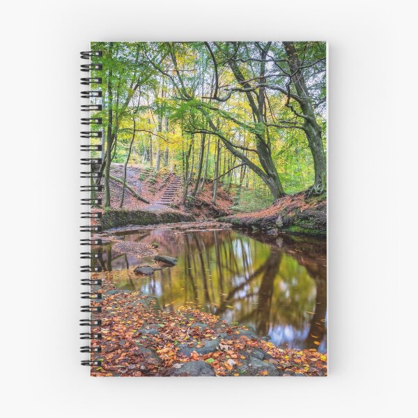 Item preview, Roddlesworth Wood during Autumn Season designed and sold by Shafiq Khan.