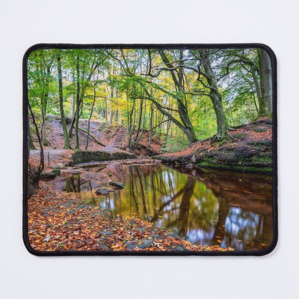 Item preview, Roddlesworth Wood during Autumn Season designed and sold by Shafiq Khan.