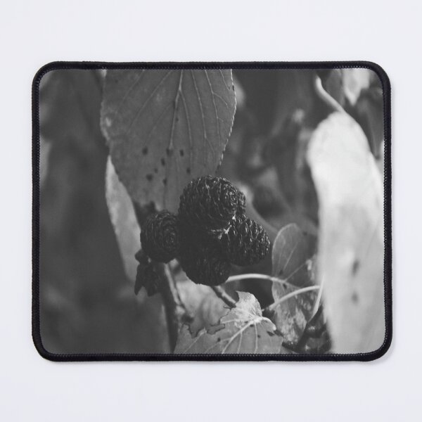 Item preview, Pine cone designed and sold by Tableaux51.