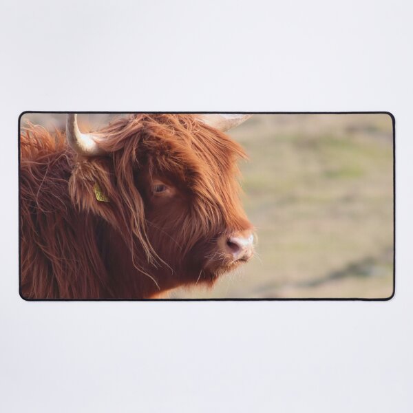 Item preview, Highlander Cow designed and sold by MvMeer.